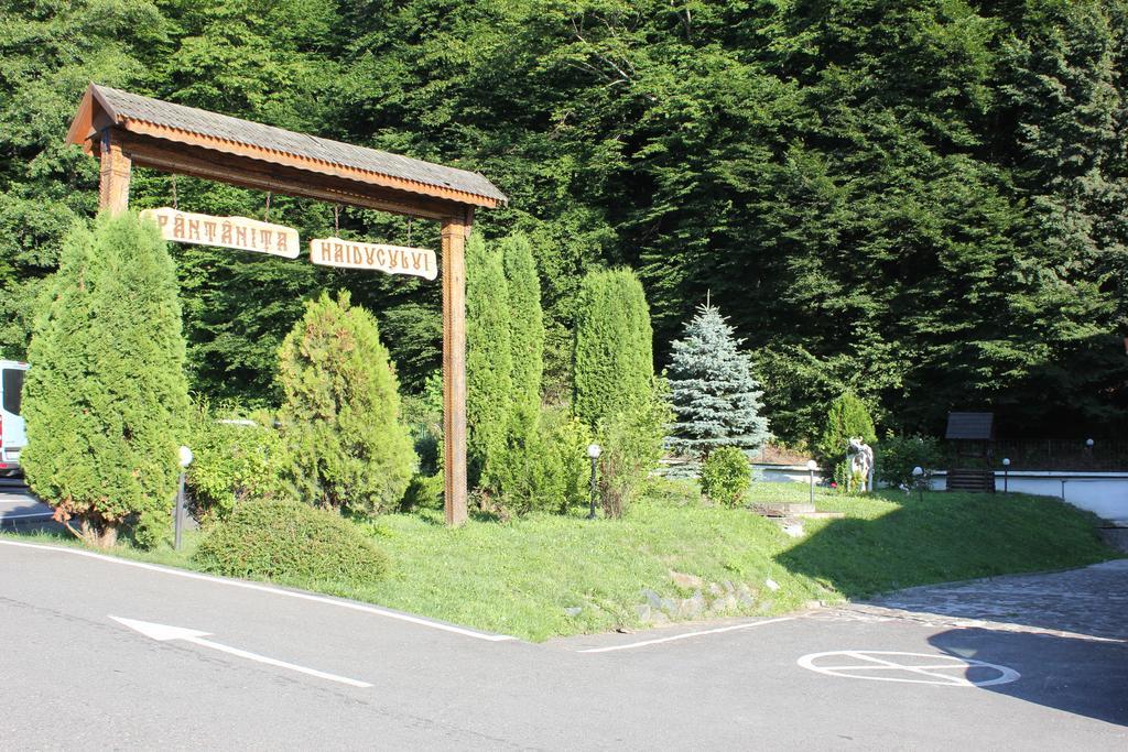 Hotel Fantanita Haiducului Bradu  Exterior foto